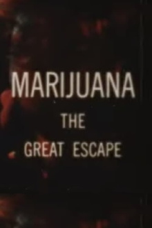 Marijuana The Great Escape Trailer