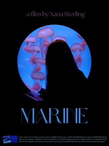 Marine Trailer