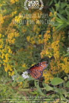 Mariposas Azules Del Cerro Del Topo Chico Trailer