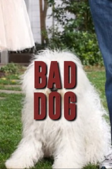 Mark Zuckerberg’s Dog Trailer