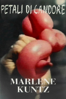 Marlene Kuntz: Petali di Candore Trailer