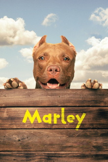 Marley Trailer