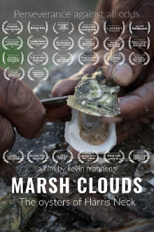 Marsh Clouds: The Oysters of Harris Neck Trailer