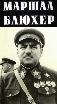 Marshal Blucher: A Portrait Against the Background of an Epoch Trailer