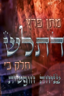 Matan Peretz - Ex Religious Pt.2 - Skydiving Trailer