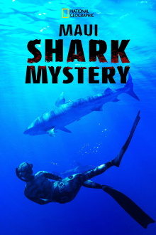 Maui Shark Mystery Trailer