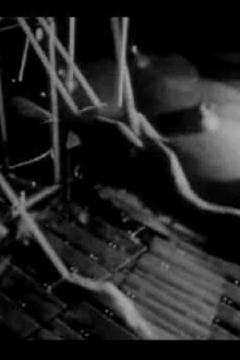 Max Trailer