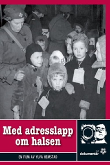 Med adresslapp om halsen Trailer