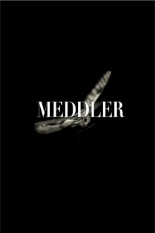 Meddler Trailer