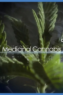 Medical Cannabis and Its Impact on Human Health Trailer