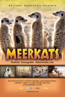 Meerkats 3D Trailer