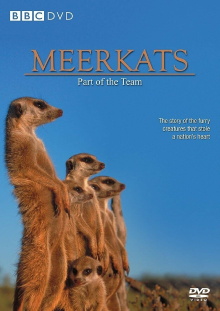 Meerkats: Part of the Team Trailer