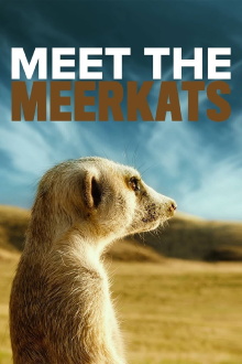 Meet the Meerkats Trailer