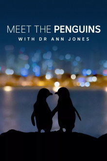 Meet the Penguins Trailer