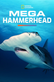 Mega Hammerhead Trailer