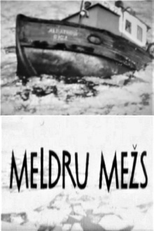 Meldru mežs Trailer