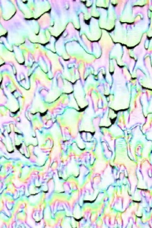Melting Rainbow Heart Trailer