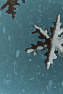 Melting Snow Trailer