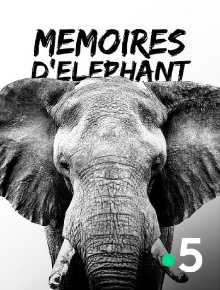 Mémoires d'éléphant Trailer