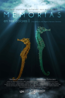 Memorias En Tres Colores Trailer