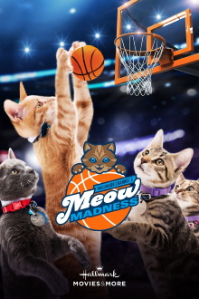 Meow Madness Trailer