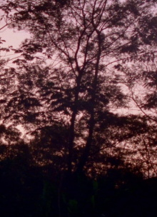Merapi Trailer