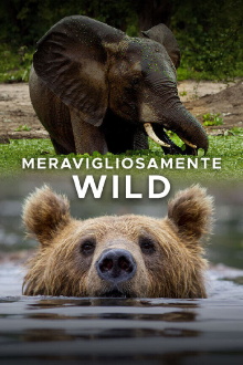 Meravigliosamente wild Trailer