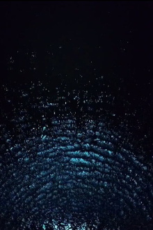 Meridian Trailer