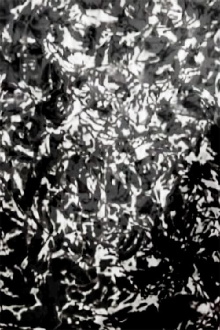 Mesh - P.I.V. 7 Trailer