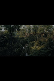 Message of the Forest. Towards 'O Horizon' Trailer