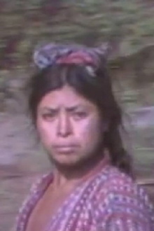Meta Mayan Trailer