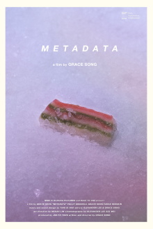 Metadata Trailer
