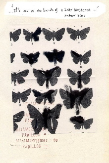 Métamorphoses du Papillon Trailer