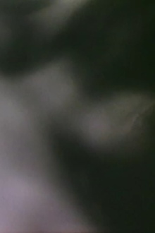 Metamorphosis Trailer