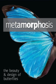 Metamorphosis: The Design and Beauty of Butterflies Trailer