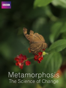 Metamorphosis: The Science of Change Trailer
