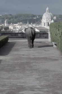 Metodo dei Loci Trailer