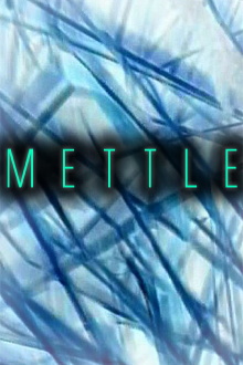 Mettle Trailer