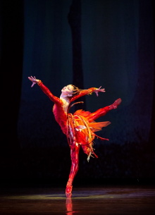 Miami City Ballet's The Firebird Trailer
