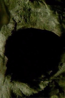 Midnight Black Earth Trailer