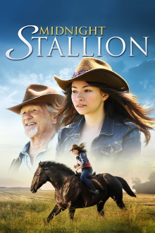 Midnight Stallion Trailer