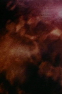 midst Trailer