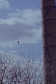 Midwood Movie Trailer