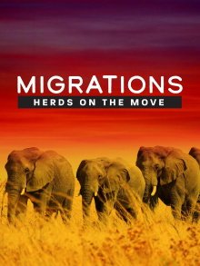 Migrations: Herds on the Move Trailer