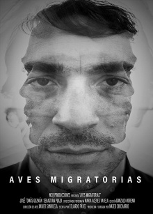Migratory Birds Trailer
