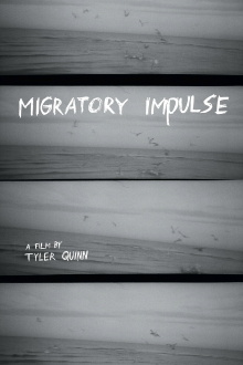 Migratory Impulse Trailer