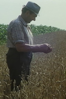 Mikolaš Farmer Worker's First Holidays Trailer
