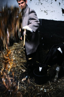 Milk Fever Trailer
