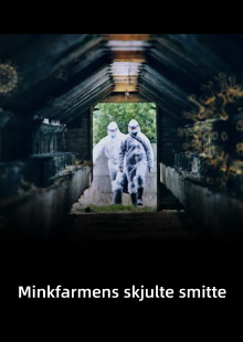 Minkfarmens skjulte smitte Trailer
