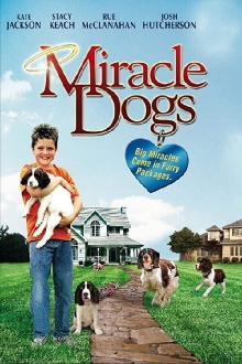Miracle Dogs Trailer